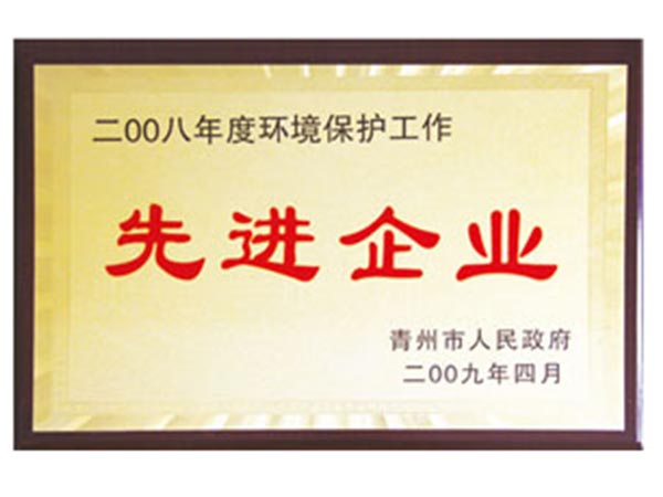 2008年度環(huán)境保護工作先進企業(yè).jpg